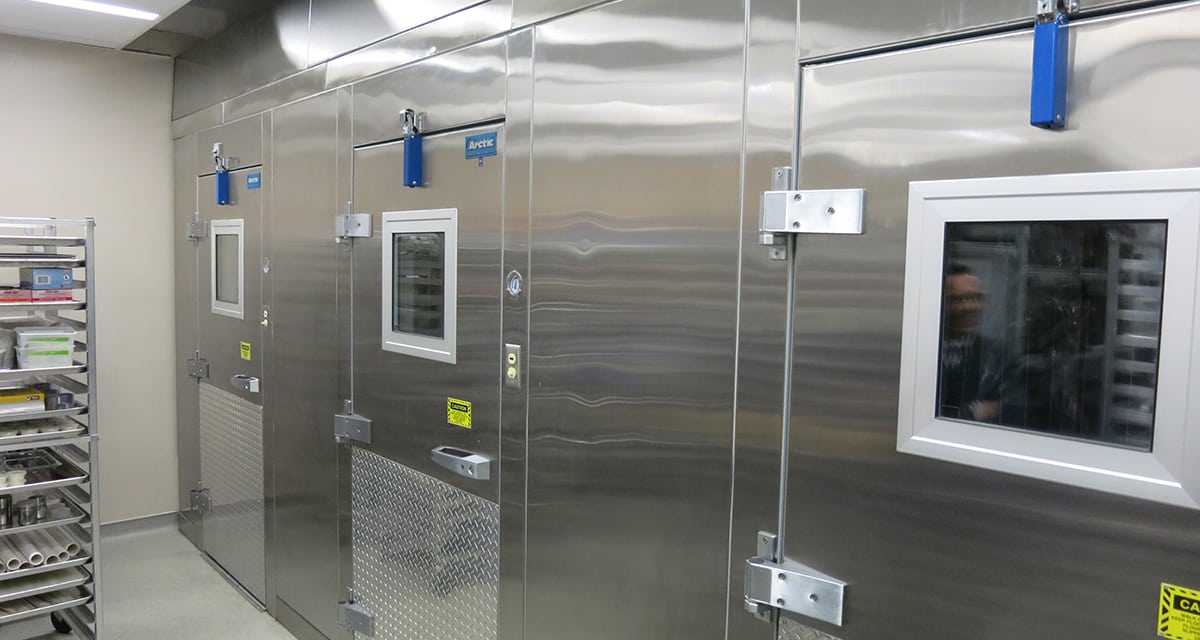 arctic-walk-in-full-1